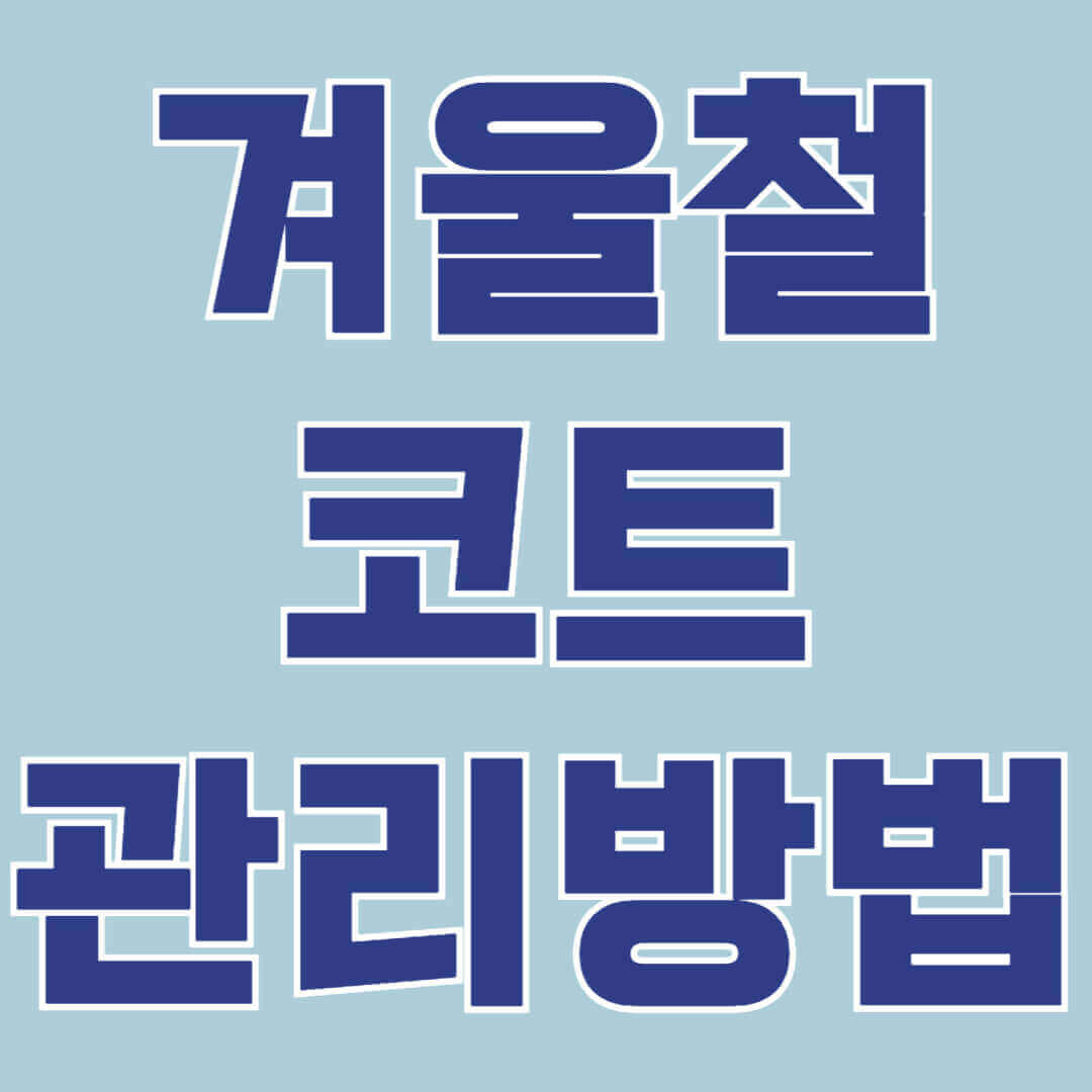 겨울철 필수 아우터 코트 관리하는 꿀팁