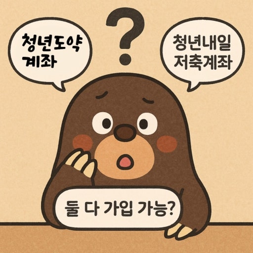 청년 도약계좌와 내일저축계좌 차이, 가입 전 꼭 알아야 할 5가지 관련 사진