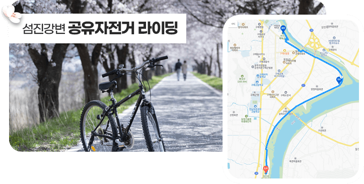 구례 300리 벚꽃축제