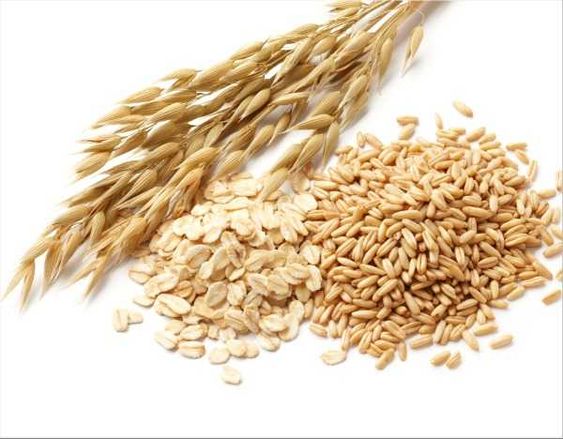 당뇨 초기증상 원인 예방 방법 혈당 낮추는 식단