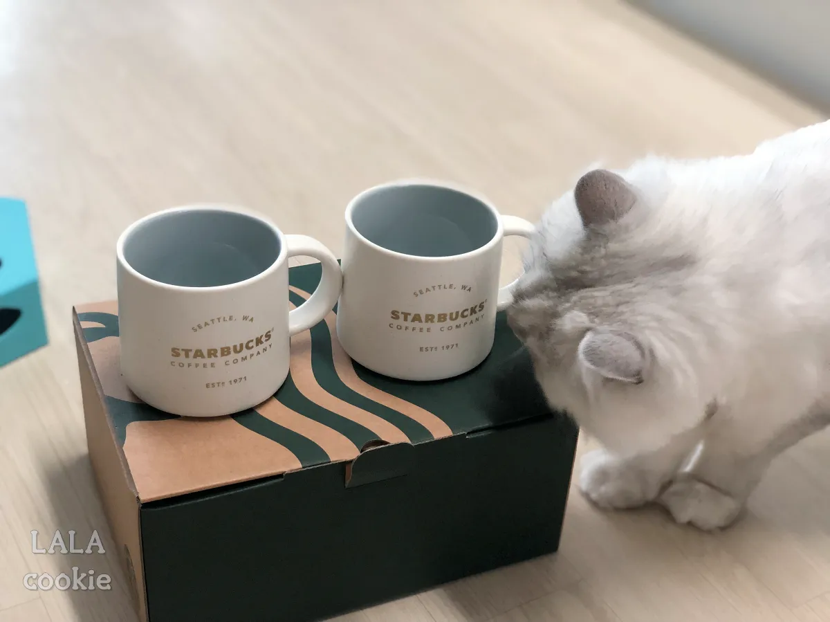 집들이-선물-추천-스타벅스-머그잔-세트