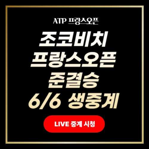 조코비치 프랑스오픈 준결승 중계