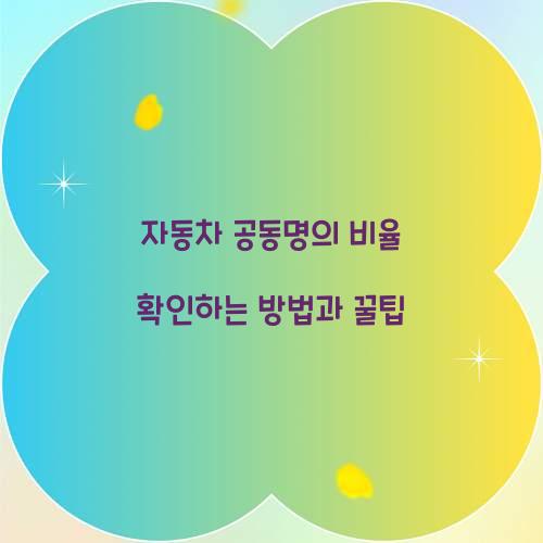 자동차 공동명의 비율
