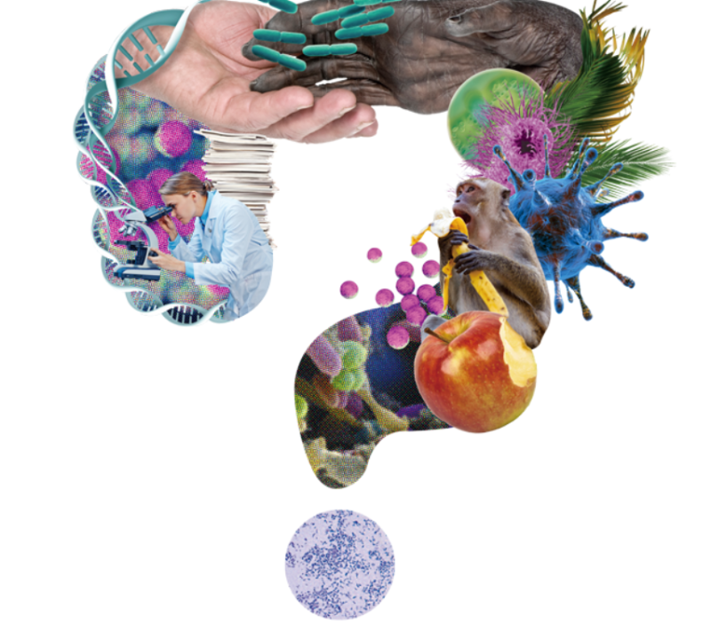 마이크로바이옴 이미지