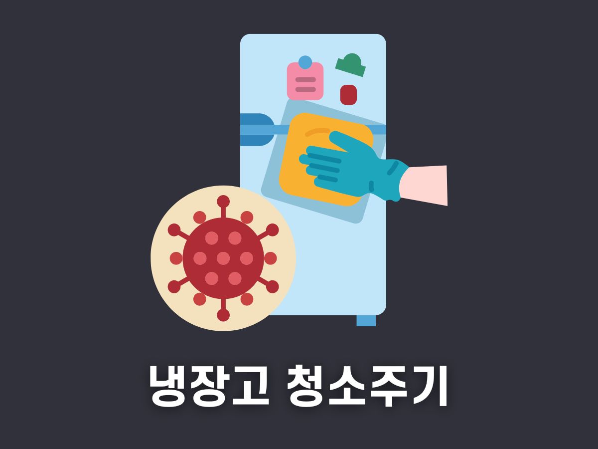 냉장고 청소 주기