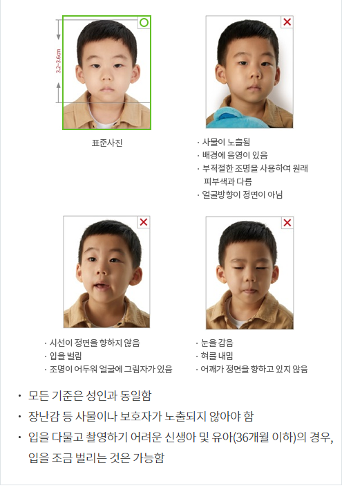 여권 사진 규정