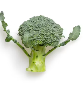 섬유근육통에 좋은 음식 영양제 식단