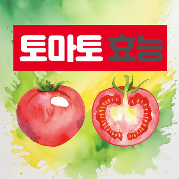토마토의 놀라운 효능 : 토마토 효능 알고 드세요!