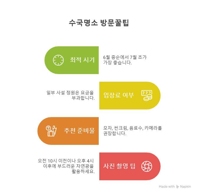 전라도 수국명소 추천 7곳, 수국이 만개한 아름다운 여름을 걷다