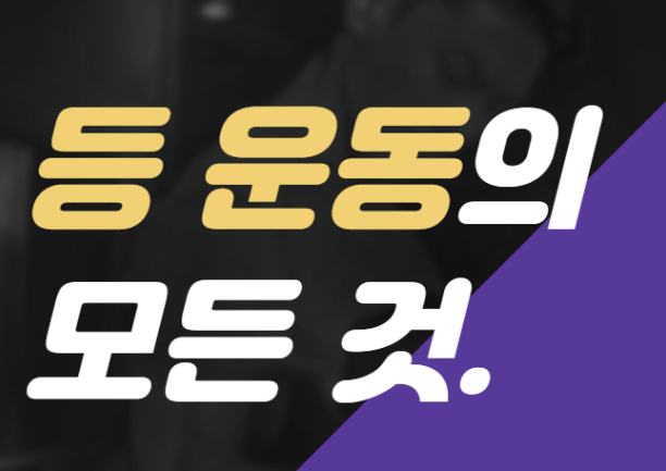 등 운동(Back Workout)에 대한 모든 것,