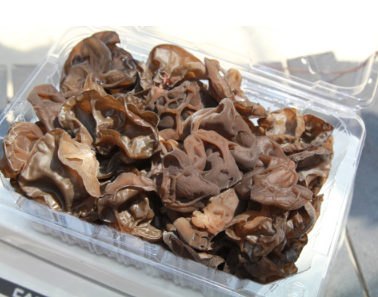 긍정농부차씨 목이버섯