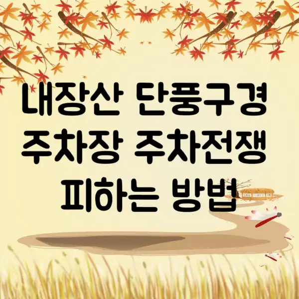 내장산-단풍구경-주차장-주차전쟁-피하는-방법