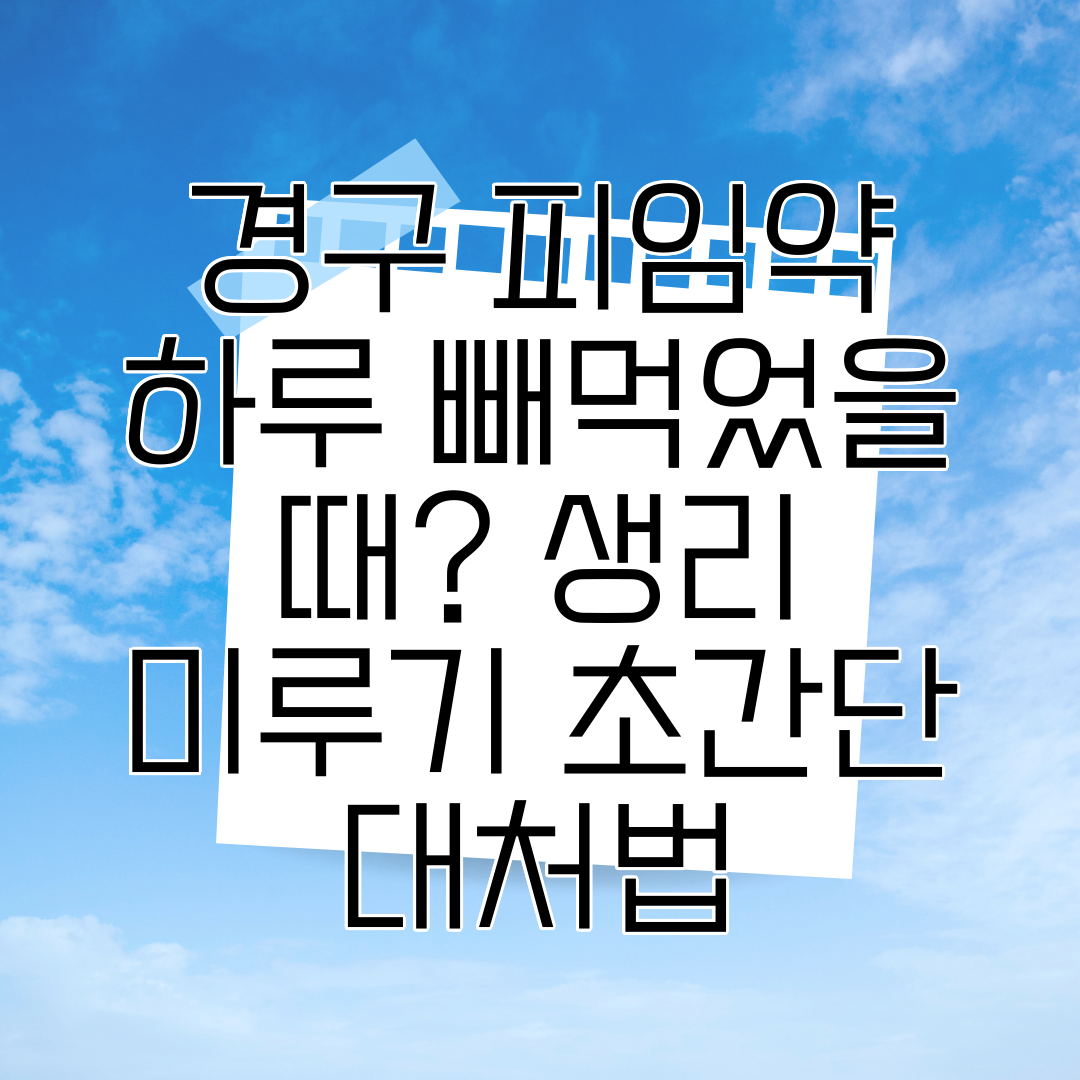 경구 피임약 하루 빼먹었을 때 생리 미루기 초간단 대처법