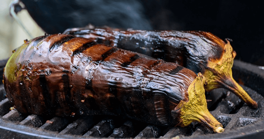 채소 가지 사진 - 33