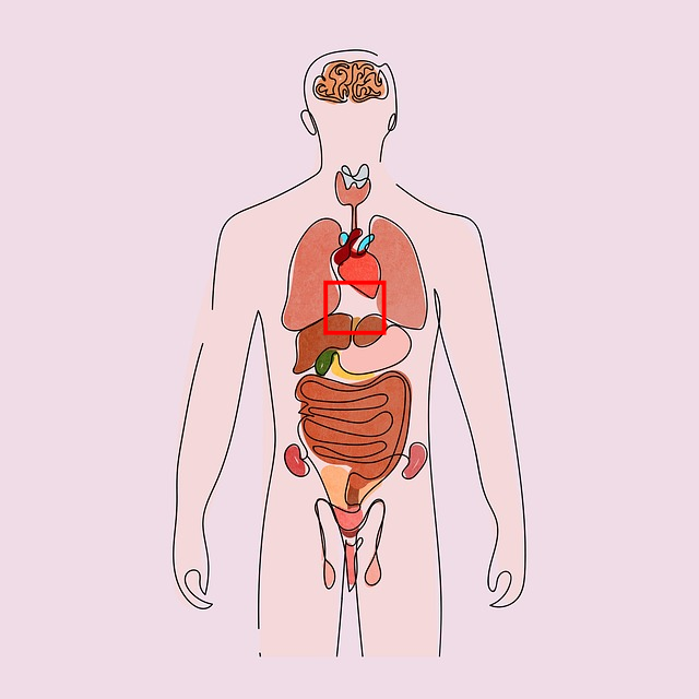 명치 아래 윗배 중앙 통증