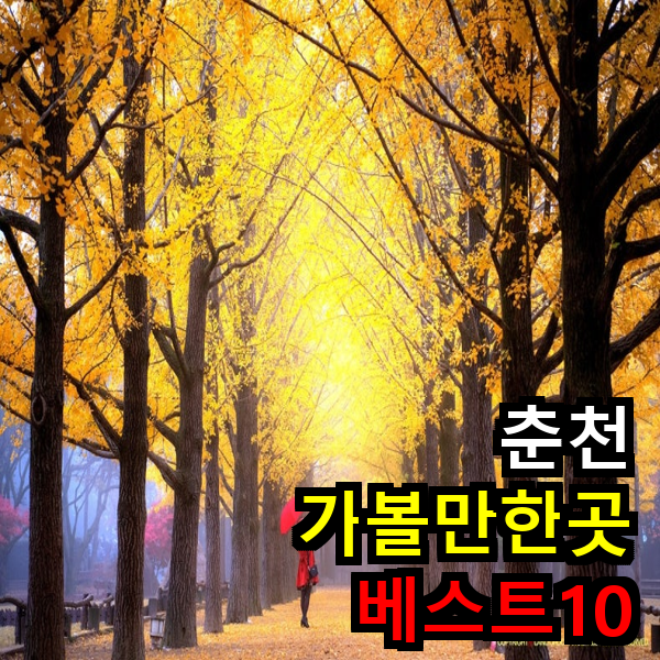 남이섬과 메타세콰이어길