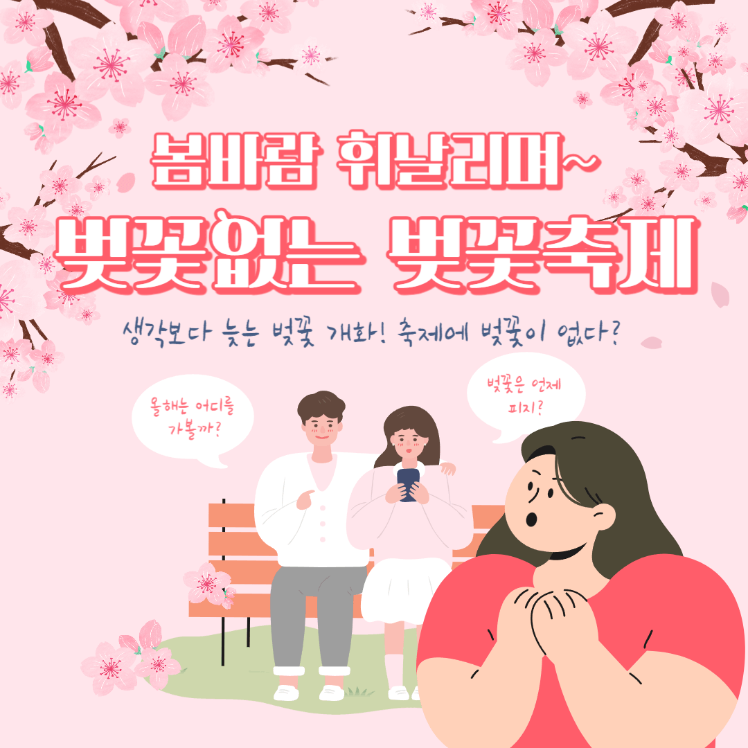 벚꽃축제 벚꽃 없어요 개화환경 이상기온