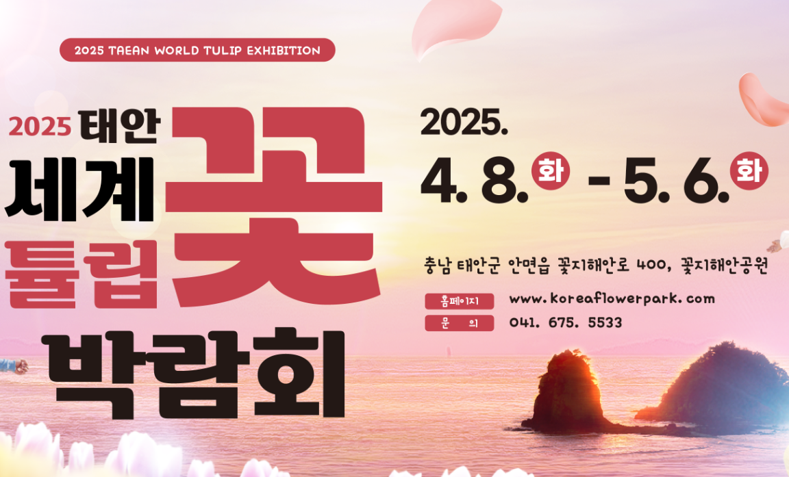 2025 전국 꽃 축제 일정 – 매화, 산수유, 벚꽃, 유채꽃, 철쭉, 장미까지!