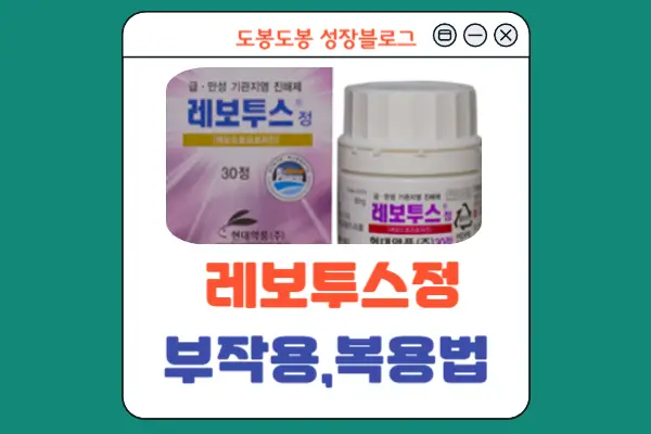 레보투스정 안내 이미지