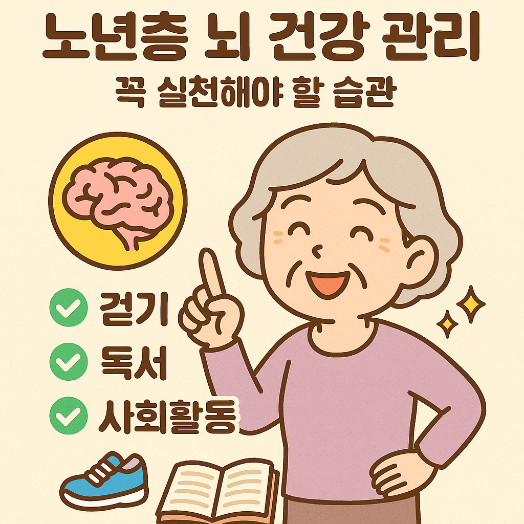 노년층 뇌 건강 관리:꼭 실천해야 할 습관 관련사진