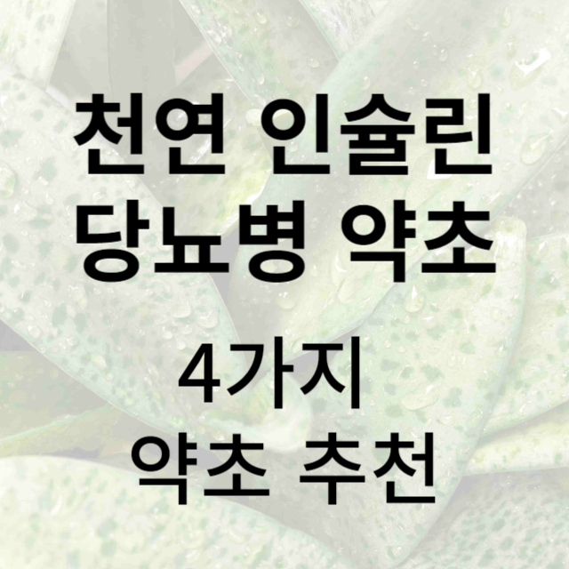 당뇨병에 좋은 약초