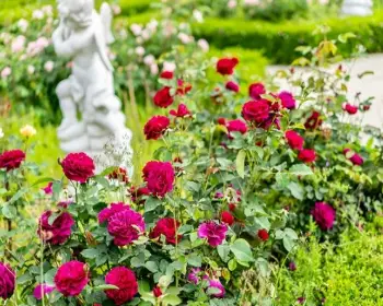 퍼스트가든 봄꽃축제 블루밍가든_5