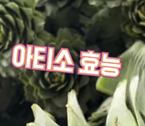 아티소-효능
