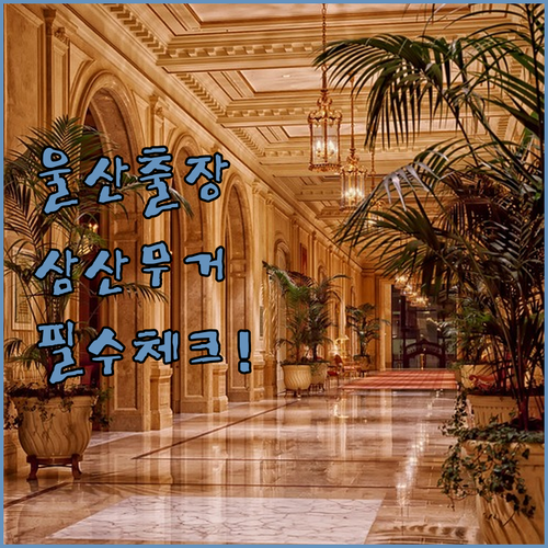 울산 출장 여행 숙소 예약 전 필수 ..
