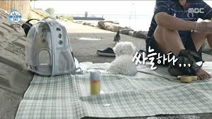 나혼자산다 구성환 다시보기/ 강아지가방 / 전기자전거