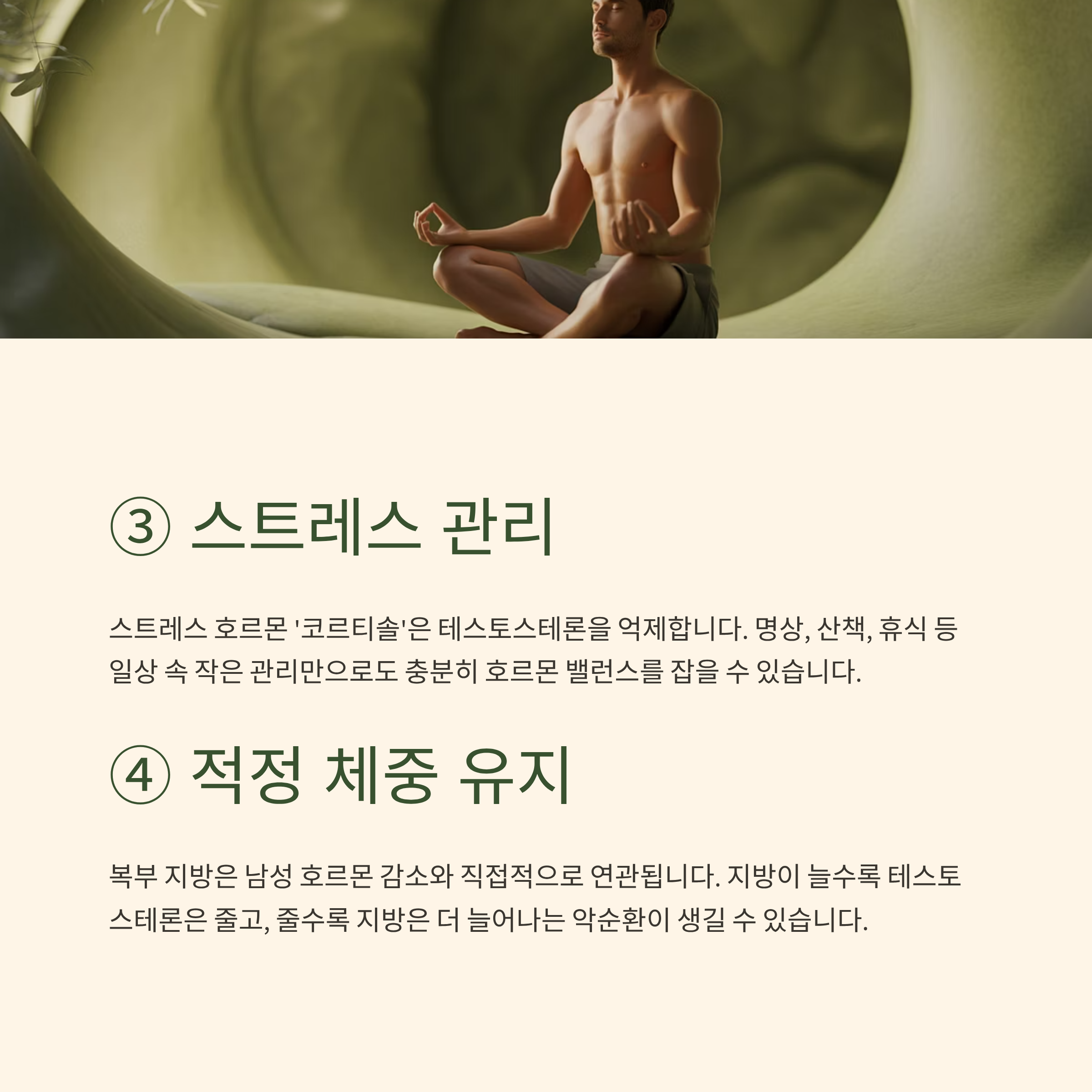테스토스테론 자연 증가 방법 2