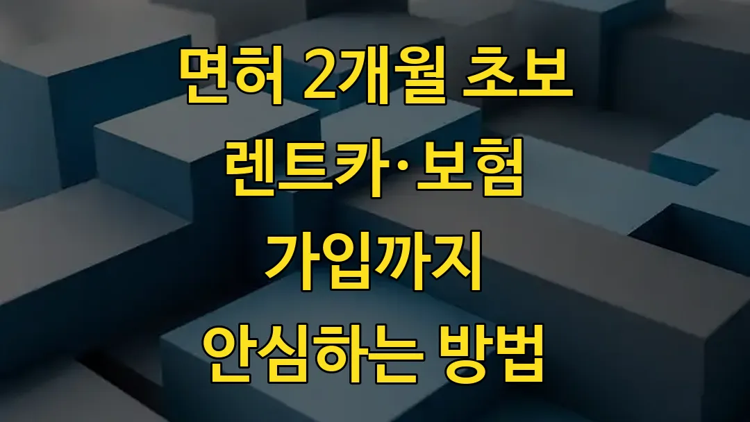 면허 2개월 초보 렌트카&middot;보험 가입까지 안심하는 방법