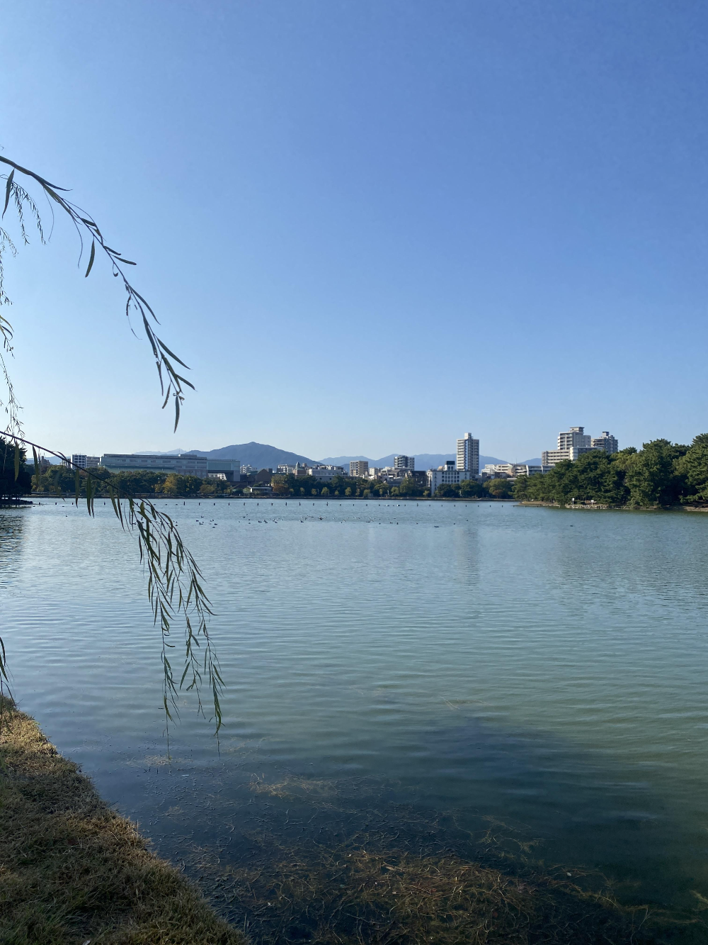 후쿠오카 오호리 공원