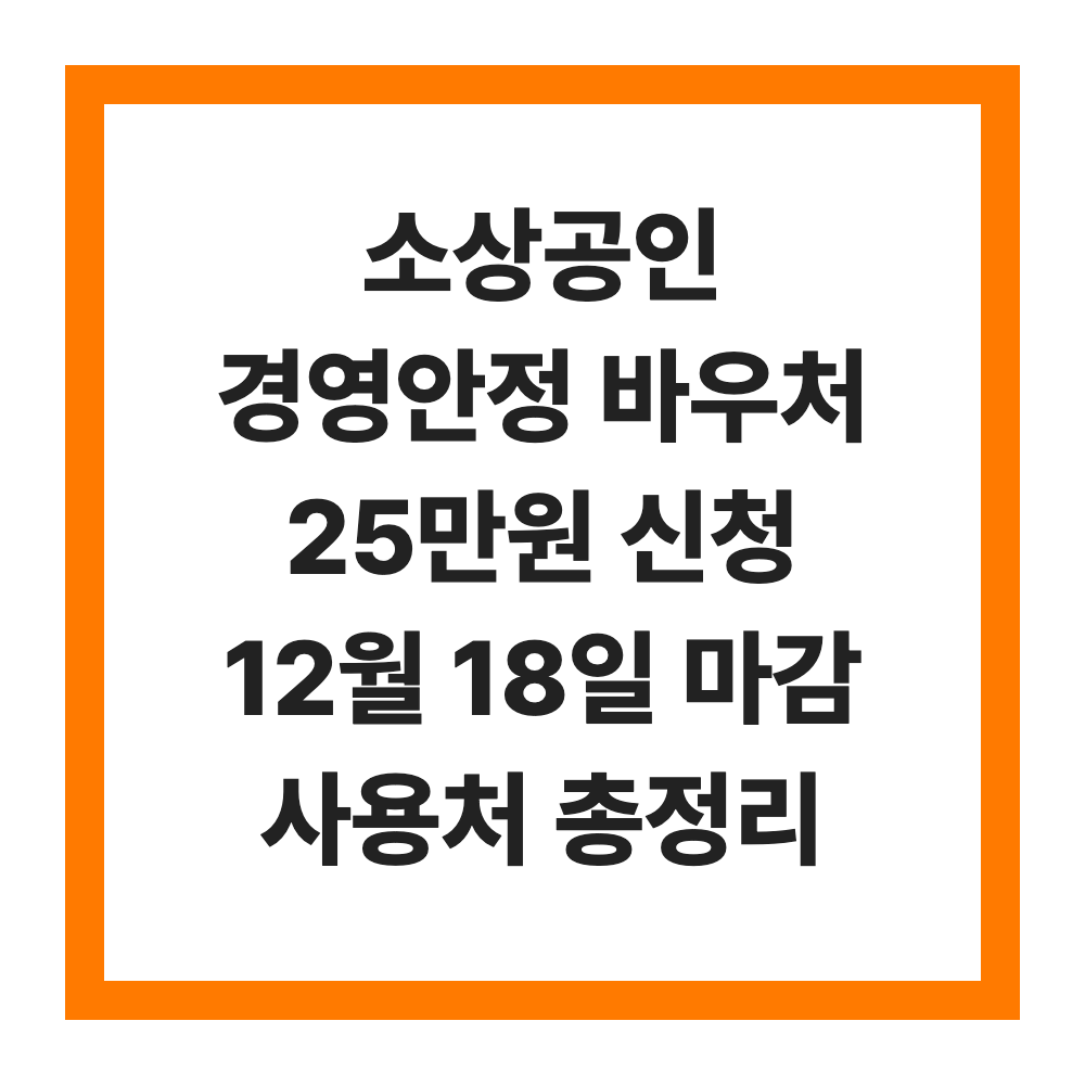 소상공인 경영안정 바우처 25만원 신청 12월 18일 마감 사용처 총정리