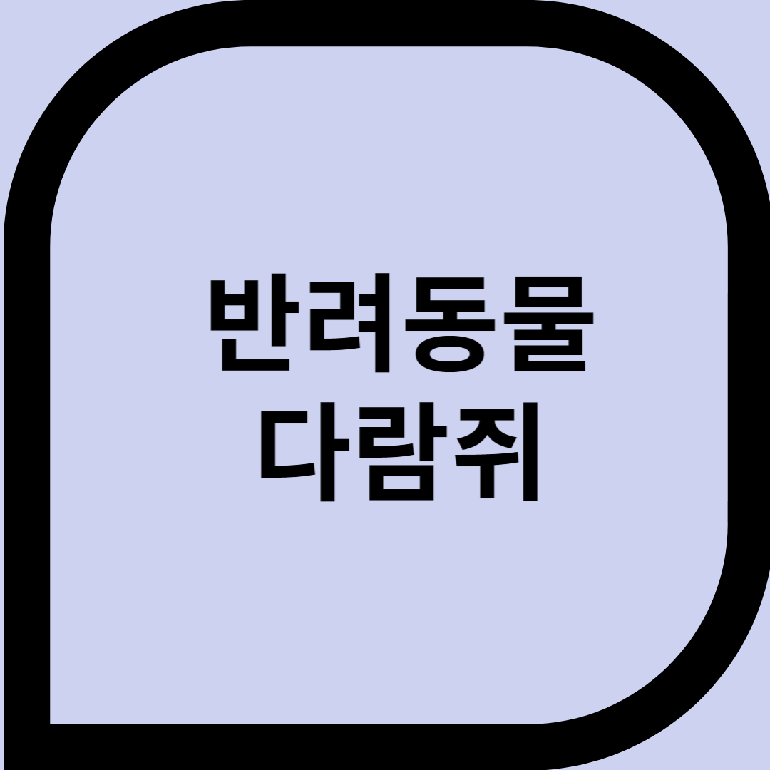 반려동물 다람쥐