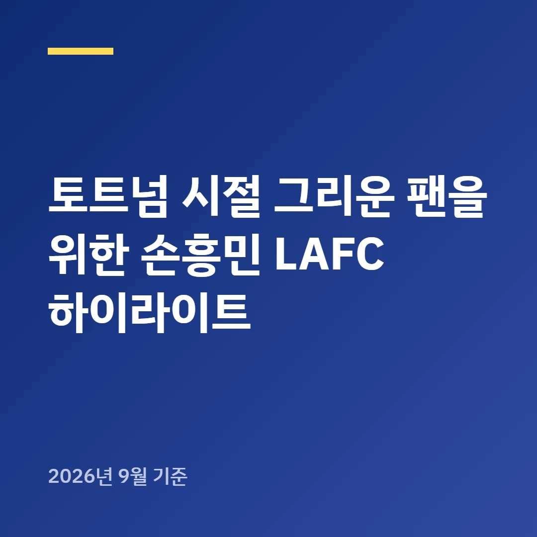 손흥민 하이라이트