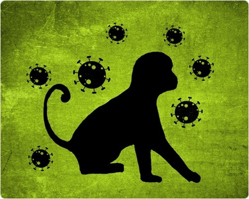 엠폭스 증상 및 원인