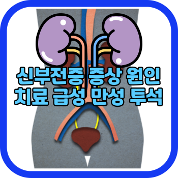 신부전증 증상 원인 치료 급성 만성 투석