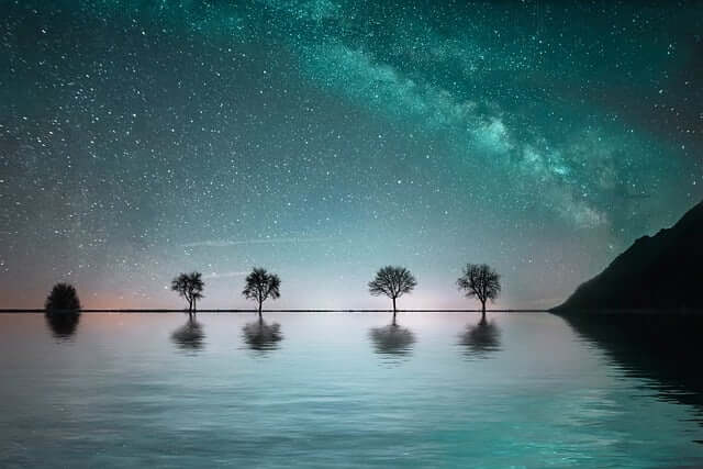 건강정보