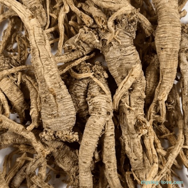 건조한 당삼