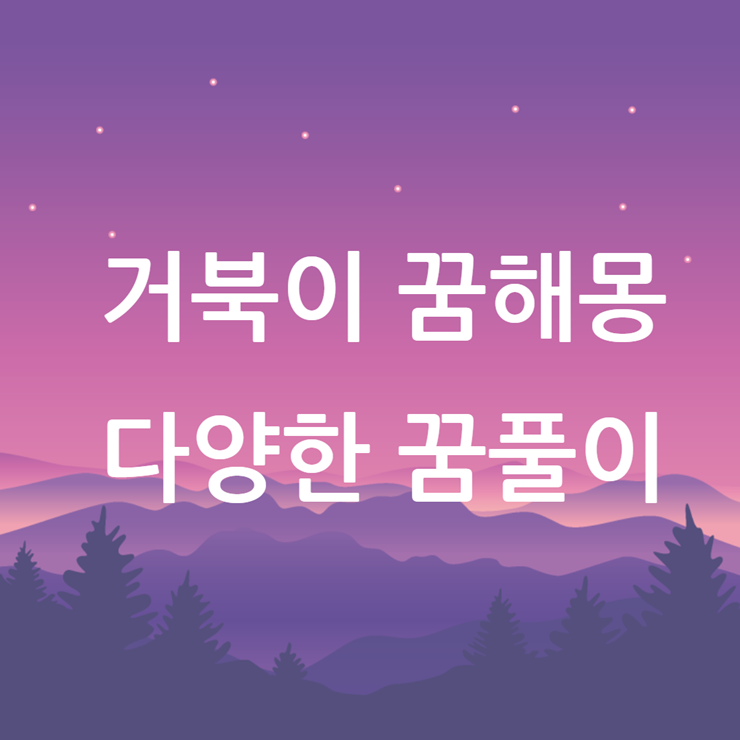 거북이 꿈해몽
