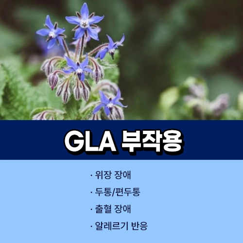 감마리놀렌산 부작용