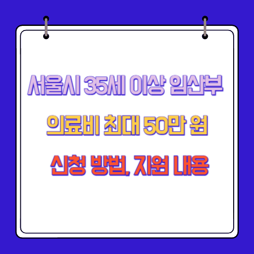 서울시 35세 이상 임산부 의료비 최대 50만 원 신청 방법, 지원 내용