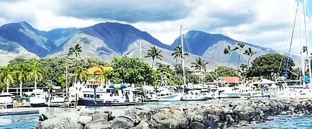 라하이나 항구(Lahaina Harbor)