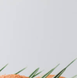 MCT오일 효능&amp;#44; 다이어트와 두뇌 건강에 좋은 이유