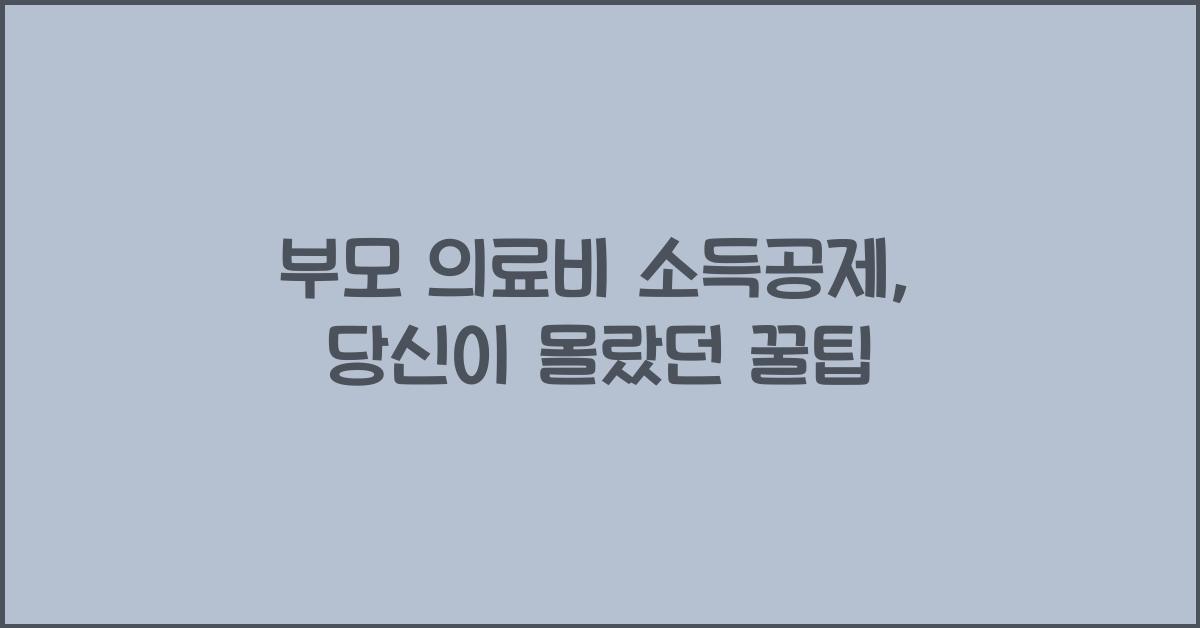 부모 의료비 소득공제