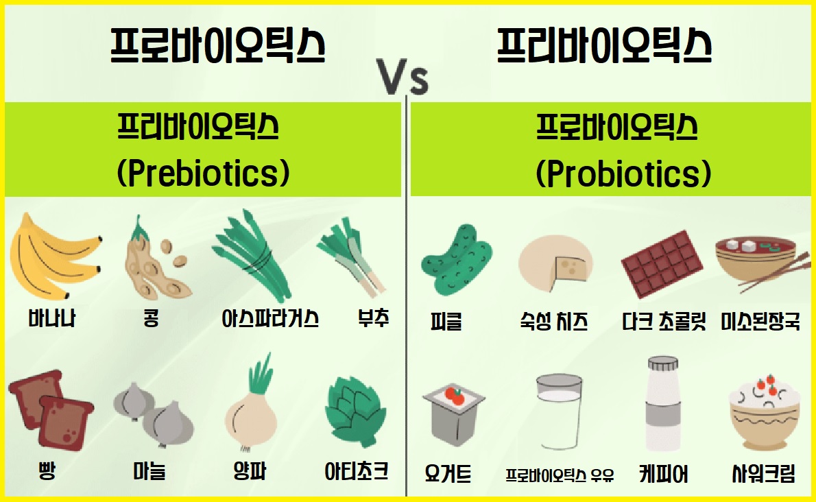 프로바이오틱스와 프리바이오틱스 함유 식품