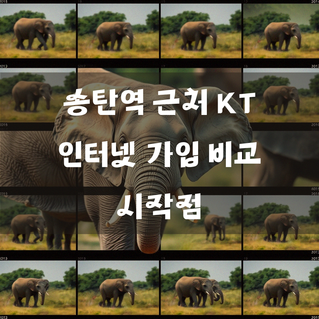 송탄역 근처 KT 기가 인터넷, 어디서부터 알아봐야 할까?