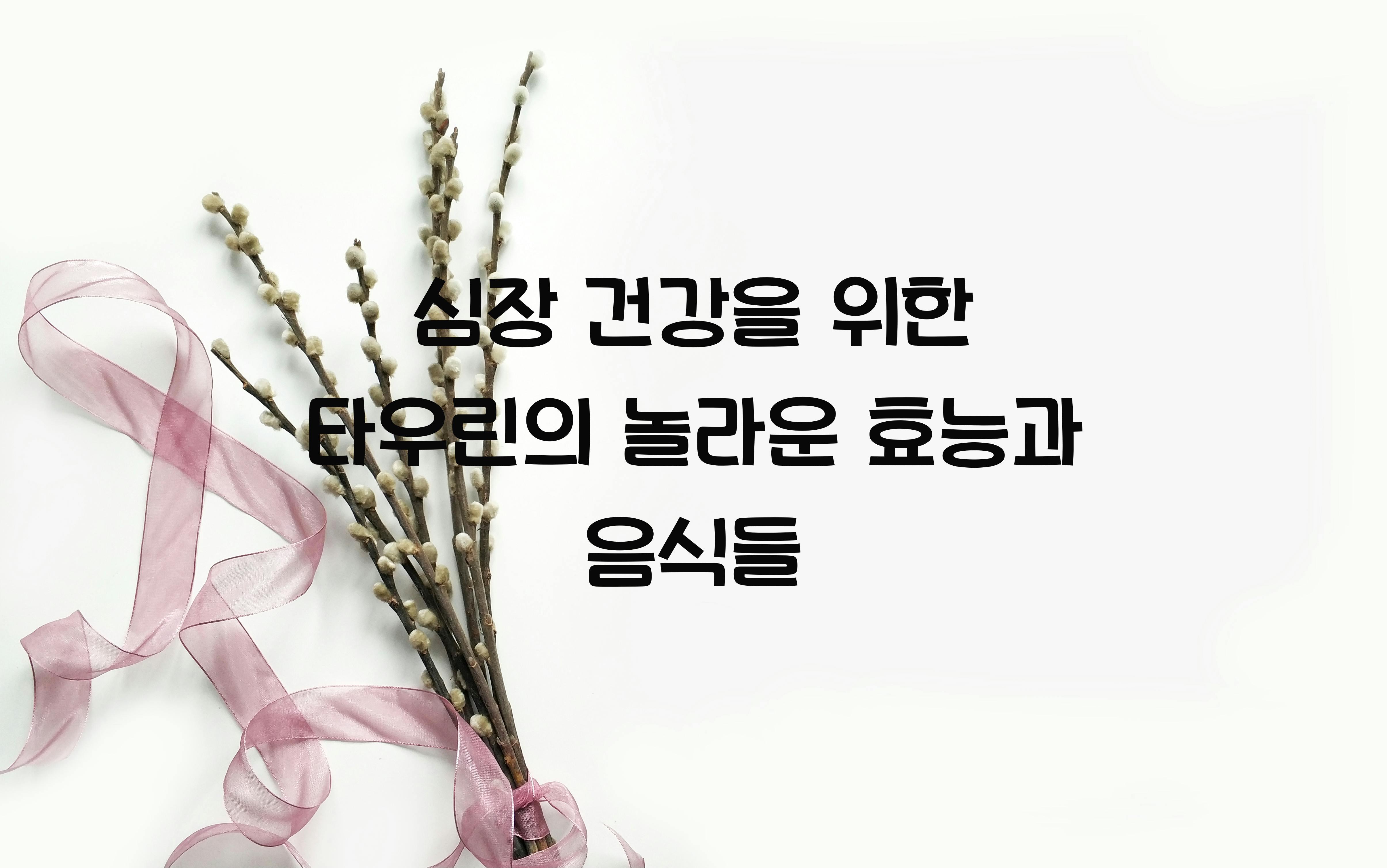 심장 건강을 위한 타우린