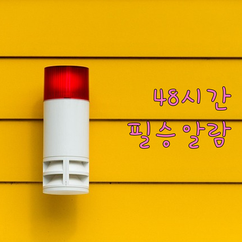 말레이시아항공 체크인 48시간 전 알..