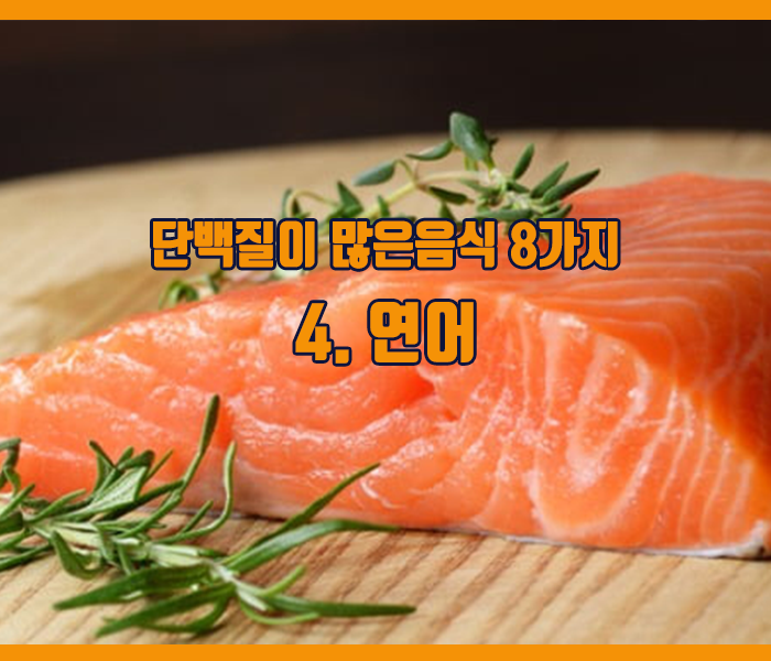 단백질이 많은음식 연어